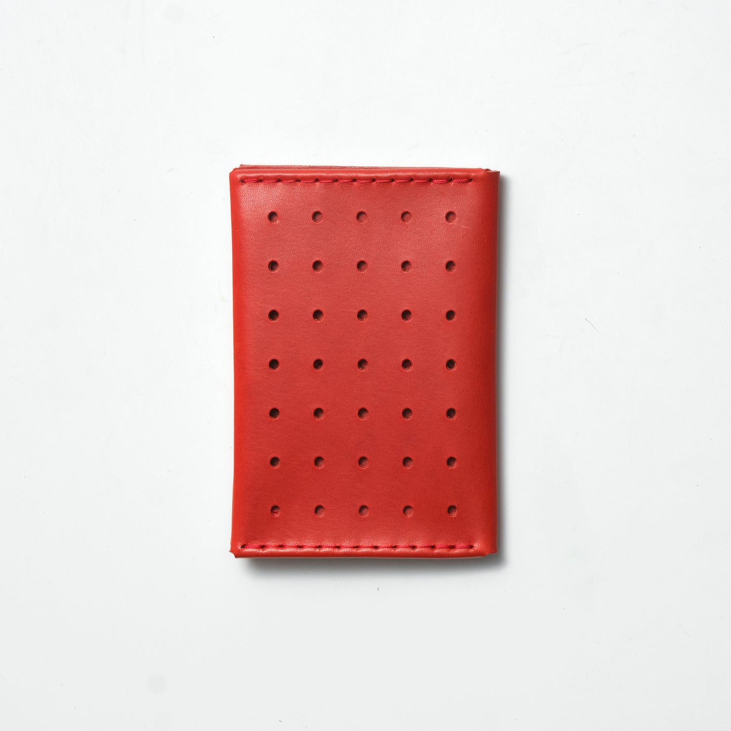 TRANSIT PERFORATED PASSPORT CASE