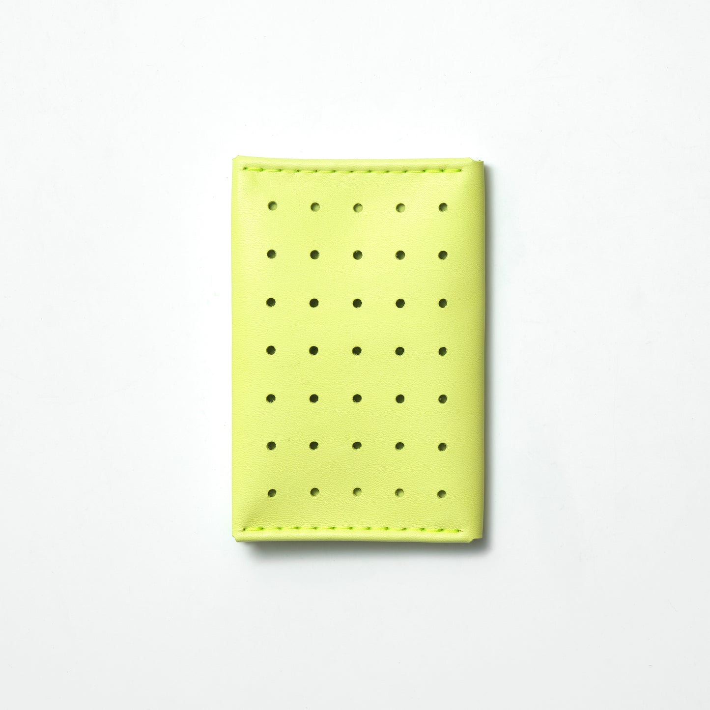 TRANSIT PERFORATED PASSPORT CASE