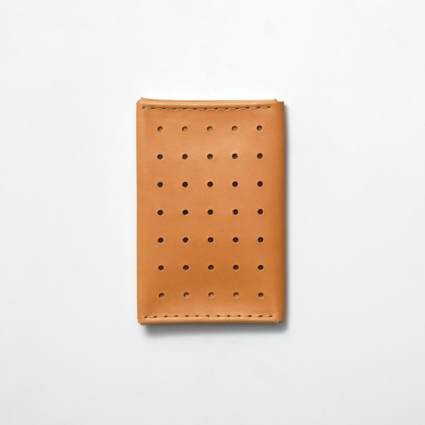 TRANSIT PERFORATED PASSPORT CASE